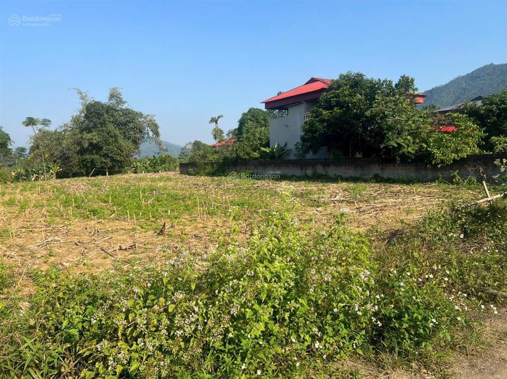 Bán gấp lô đất 345m lô góc  xã mỹ lương  yên lập phú thọ, giá rẻ lợn chết nhanh siêu rẻ