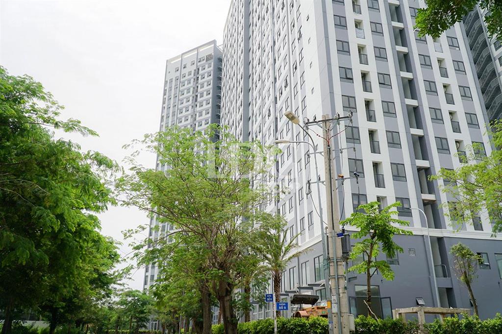 Căn hộ ngay đại học kinh tế, văn hiến. căn hộ saigon intela