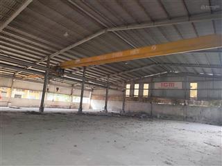 Cho thuê kho siêu vip 11.500m2 mặt tiền đường quốc lộ 22, p. tmt, quận 12
