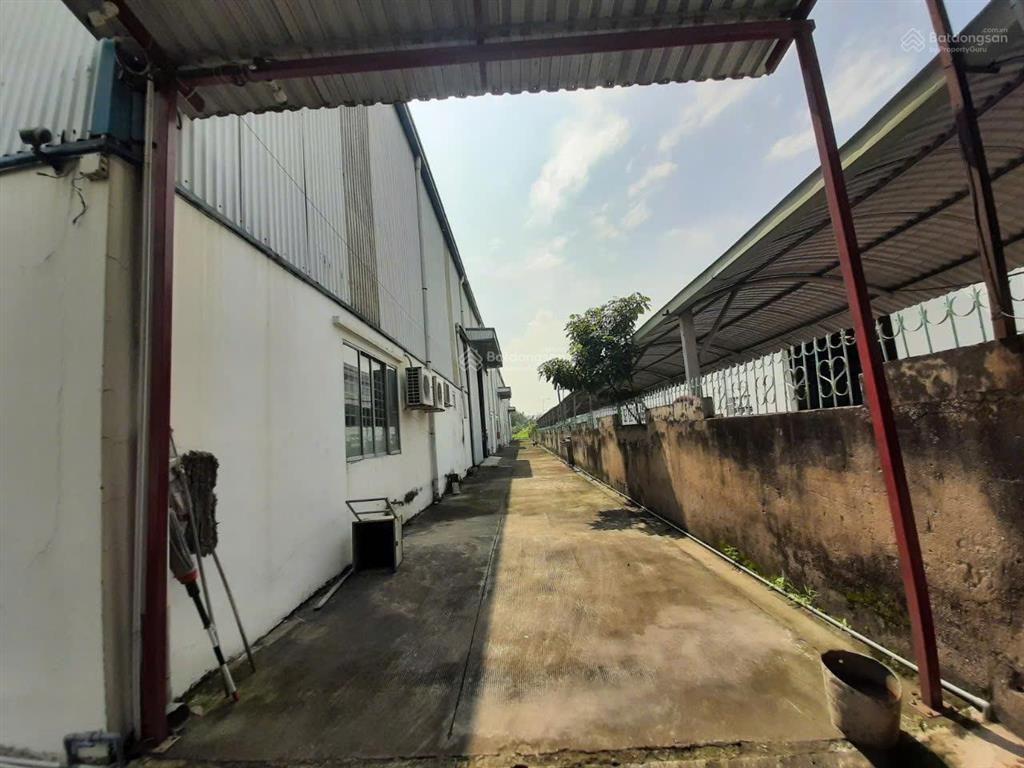 Cho thuê kho xưởng vip 5.200m2 kcn cát lái, p. thạnh mỹ lợi, q. 2