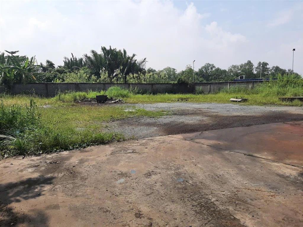 Cho thuê kho xưởng vip 5.200m2 kcn cát lái, p. thạnh mỹ lợi, q. 2