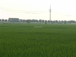Cơ hội vàng đất đẹp đông anh dt 106.6m2 đường rộng 2 ô tô tránh vị trí siêu tiềm năng