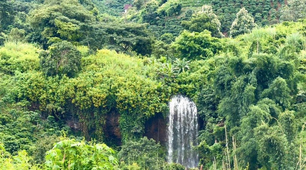 Lô đất bám suối đá đối diện la khu village, du lịch, nhìn sang là thành phố đà lạt chỉ hơn 1 tỷ