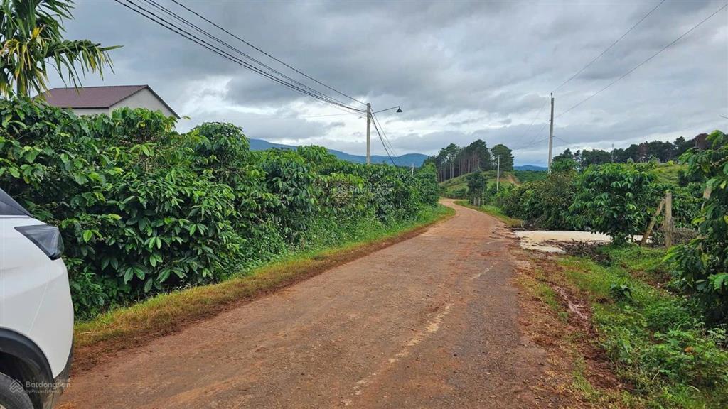 Quá rẻ chỉ 599 triệu sở hữu ngay 300m2 đất mê linh sát p. cam ly đà lạt