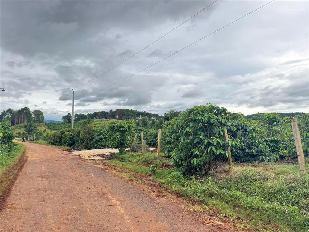 Quá rẻ chỉ 599 triệu sở hữu ngay 300m2 đất mê linh sát p. cam ly đà lạt