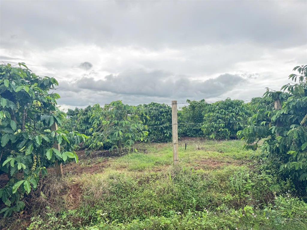 Quá rẻ chỉ 599 triệu sở hữu ngay 300m2 đất mê linh sát p. cam ly đà lạt