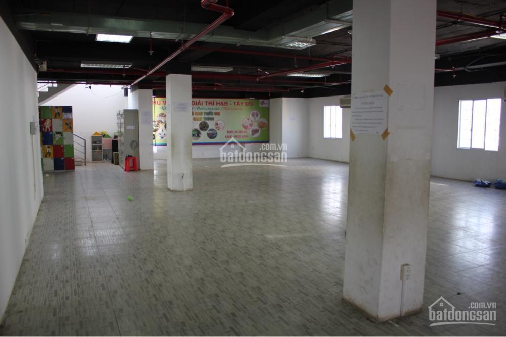 Văn phòng cho thuê tòa nhà đại lộ hòa bình trung tâm cần thơ