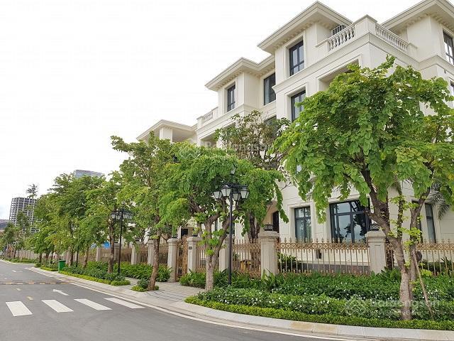 Vic ba son diện tích 225m2 giá 250 tỷ bao thuế phí, trục chính riverside 7 sát tòa gran marina