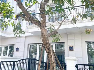 Bán suất ngoại giao nhà liền kề eurowindow twin parks gia lâm, 14,9 tỷ căn 75m2 xây 5 tầng