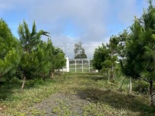 Cho thuê mặt bằng sinh thái để kinh doanh tại khu vực biển hồ, pleiku, gia lai