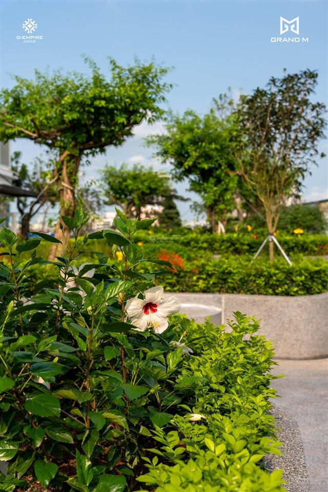 Chính chủ cần cho thuê chcc tại cc the gloria  số 8 nguyên hồng, 3n2vs, 90m2, full nt mới tinh