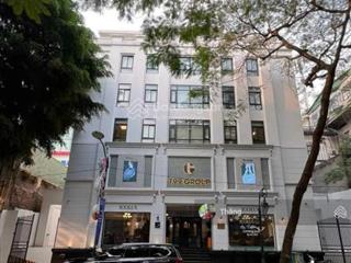 Siêu hiếm ! building khách sạn văn phòng mặt phố trần hưng đạo 12 tầng 480 tỷ