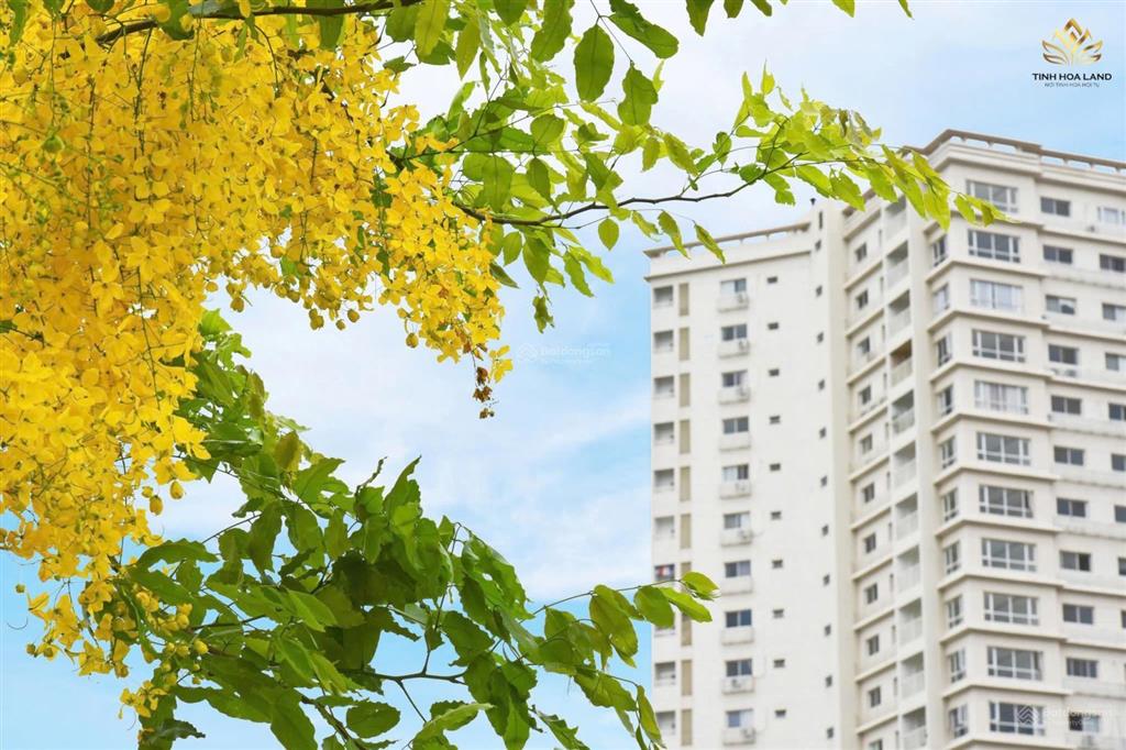 [home&land] bán căn hộ cao cấp splendora 109m, tầng trung, view thoáng đẹp , sổ đỏ, 0985 302 ***