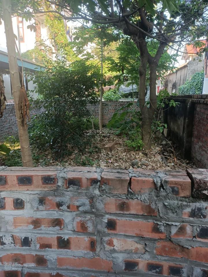 Bán đất bắc từ liêm, 45m2, phân lô, ô tô, 5tỷ