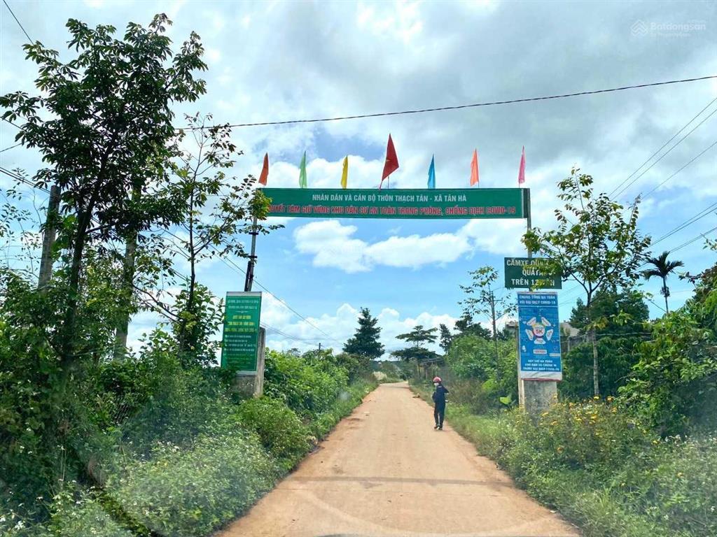 Đất view đẹp lâm đồng bắt trọn nhịp sống thịnh vượng nơi thành phố nghỉ dưỡng