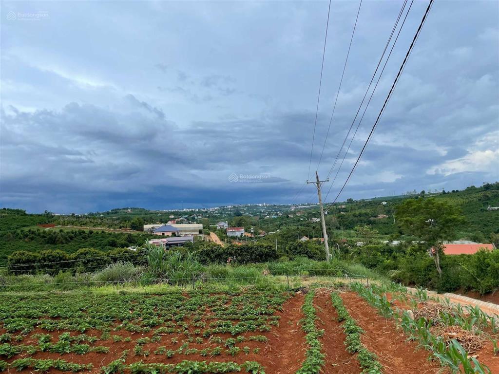 Đất view đẹp lâm đồng bắt trọn nhịp sống thịnh vượng nơi thành phố nghỉ dưỡng