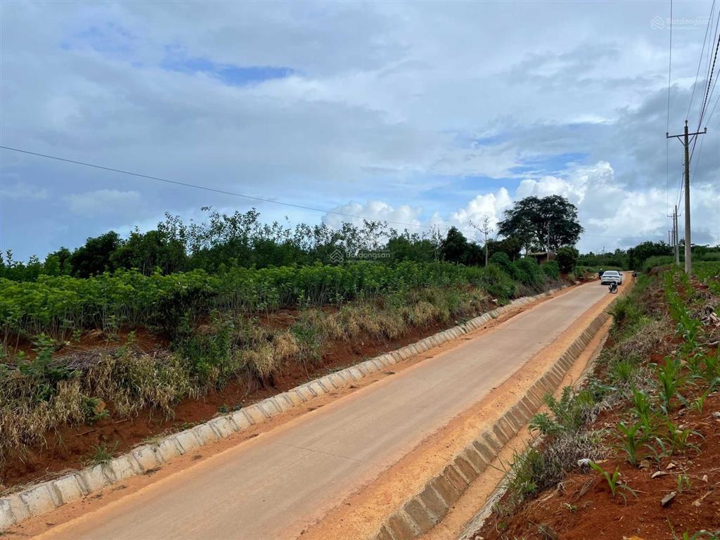 Đất view đẹp lâm đồng bắt trọn nhịp sống thịnh vượng nơi thành phố nghỉ dưỡng