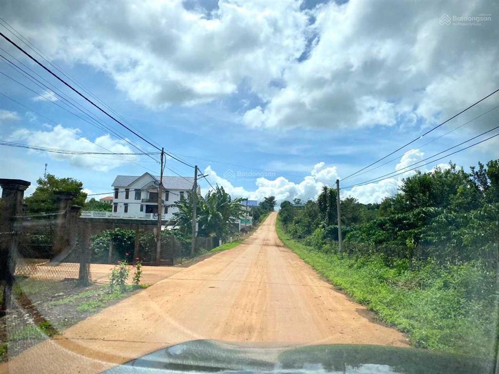 Đất view đẹp lâm đồng bắt trọn nhịp sống thịnh vượng nơi thành phố nghỉ dưỡng