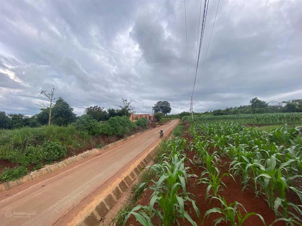 Đất view đẹp lâm đồng bắt trọn nhịp sống thịnh vượng nơi thành phố nghỉ dưỡng