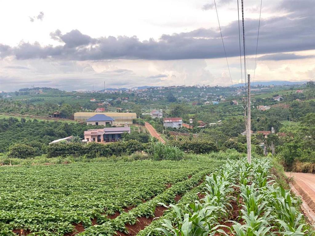 Đất view đẹp lâm đồng bắt trọn nhịp sống thịnh vượng nơi thành phố nghỉ dưỡng