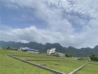 Chính chủ bán 02 lô đất cạnh nhau 240m2 full thổ đất đấu giá chùa tiên lạc thuỷ giá tốt 7tr/m2 x2x3