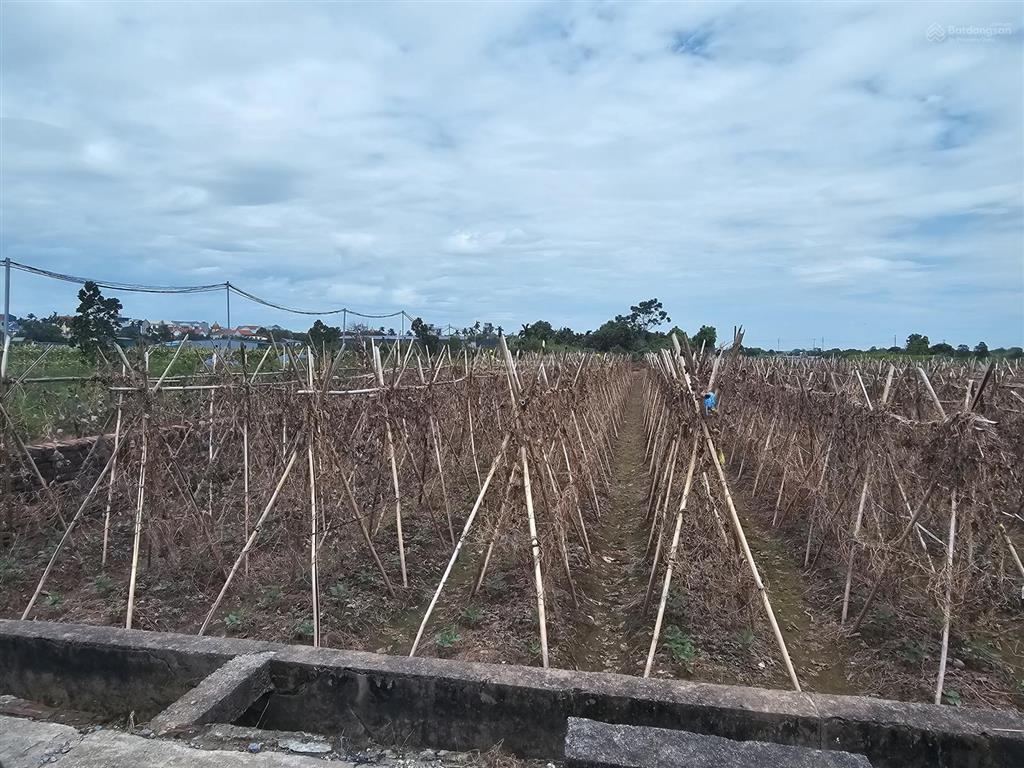 Chính chủ bán đất xã song phương đường 2 oto tránh cực tiềm năng mặt tiền rộng 21m giá 5 tr/m2 x2x3