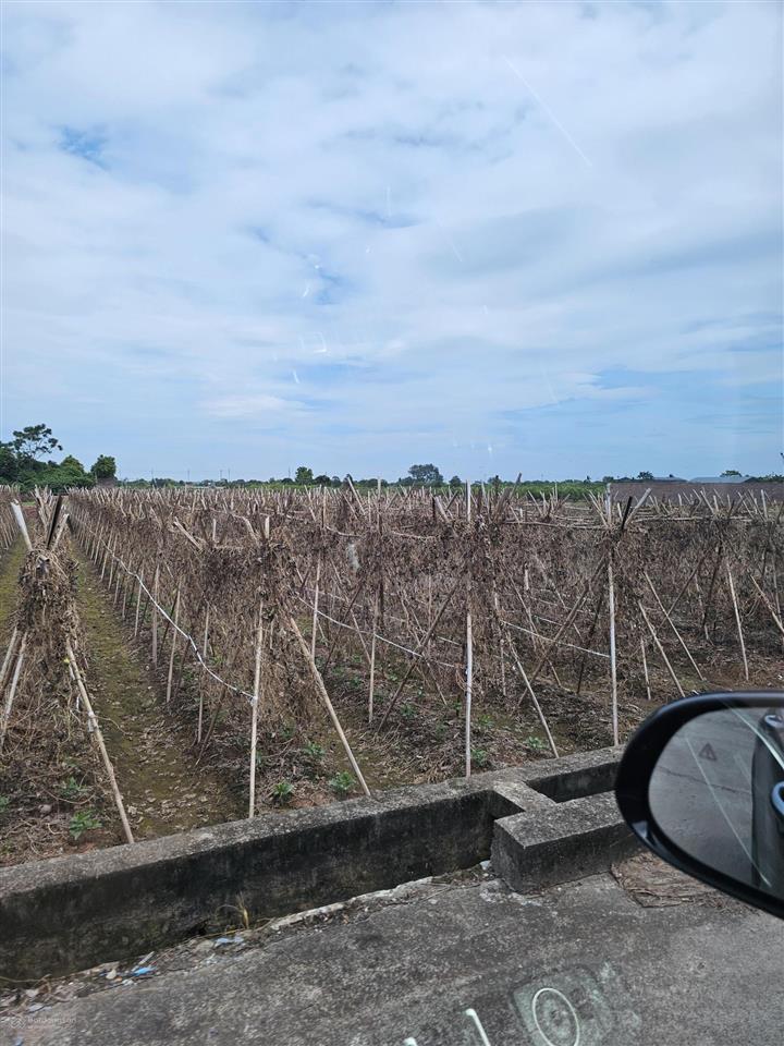 Chính chủ bán đất xã song phương đường 2 oto tránh cực tiềm năng mặt tiền rộng 21m giá 5 tr/m2 x2x3