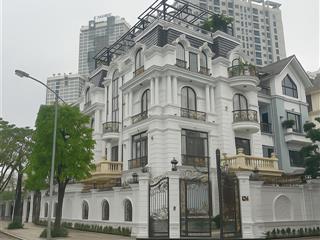 Chính chủ cần bán biệt thự cao cấp, full nội thất, 316m2, 130 tỷ, tại kđtm dương nội, hà đông