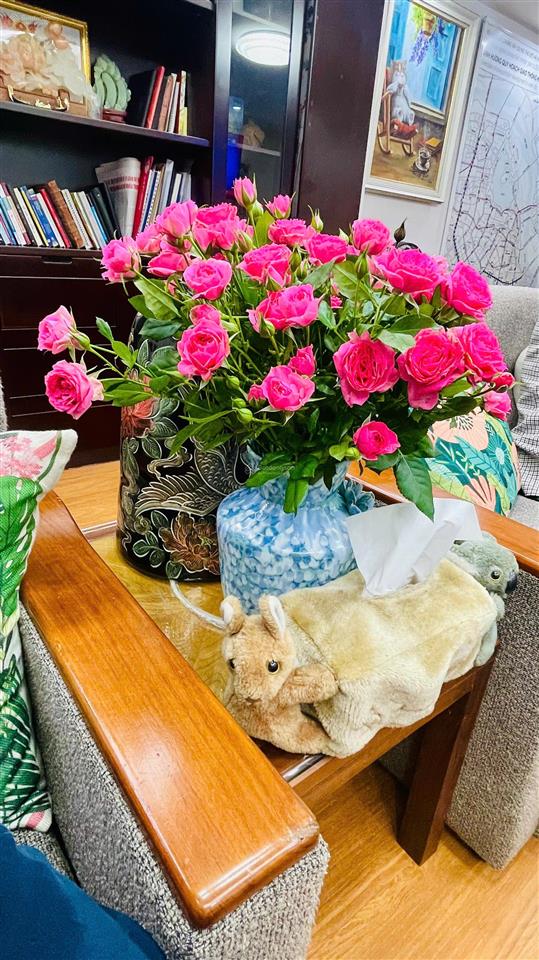 Chính chủ cần bán gấp mảnh đất 87m2, mt 6m, phường lĩnh nam quận hoàng mai