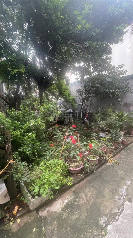 Chính chủ cần bán gấp mảnh đất 87m2, mt 6m, phường lĩnh nam quận hoàng mai