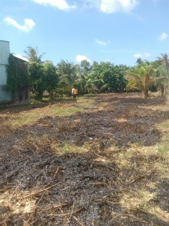 Chính chủ bán gấp đất mặt đường lớn tân long, bình chánh, giá rẻ cho nhà đầu tư, 1200m2, 26 tỷ