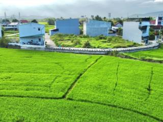 Bán đất diên toàn view lúa đường thông oto 4m