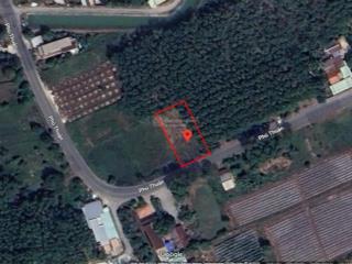 Bán đất mt phú thuận, phú mỹ hưng, củ chi, 621m², 20x31m, thích hợp xây biệt thự, nhà vườn, xưởng
