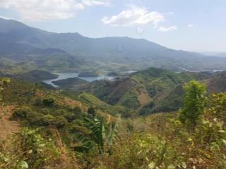 Bán gấp 7.8 ha đất view tuyệt đẹp tại lâm đồng, chỉ 7 tỷ, phù hợp kinh doanh dv du lịch nghỉ dưỡng
