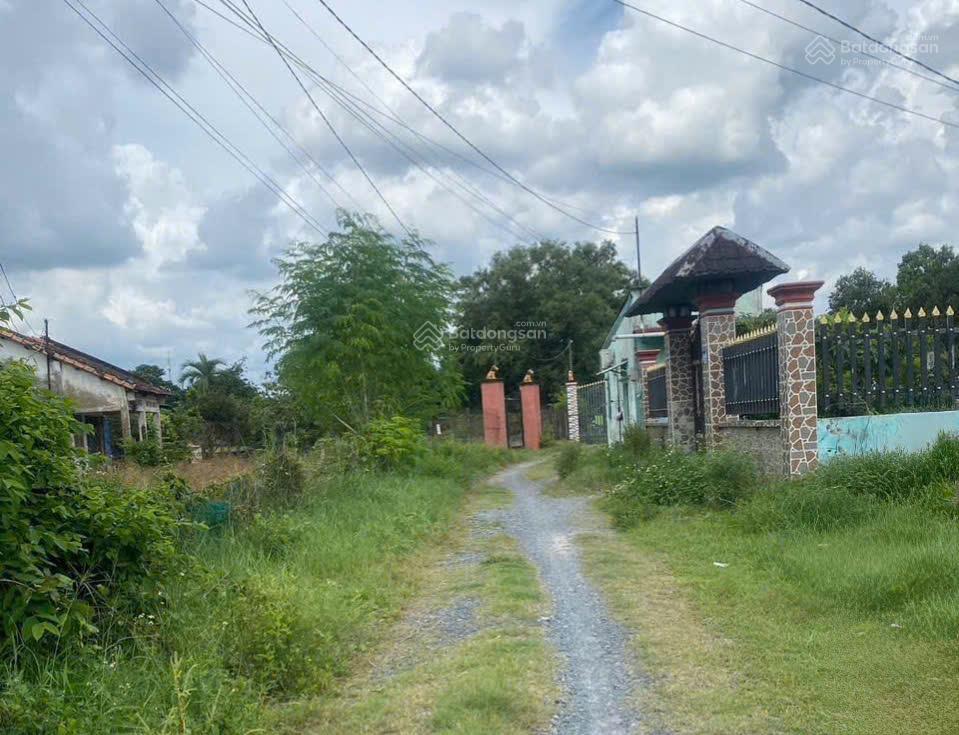 Bán đất hòa phú củ chi, ngay sát kcn cơ khí ôtô, 368m², 8.9x41.5m, tiện xây phòng trọ, chỉ 3,5 tỷ