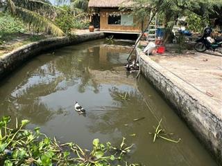 Bán đất nhà vườn mặt tiền kênh đá hàn, bình mỹ, củ chi. 12.2x53m nở hậu 22m 1192m² view kênh mát mẻ