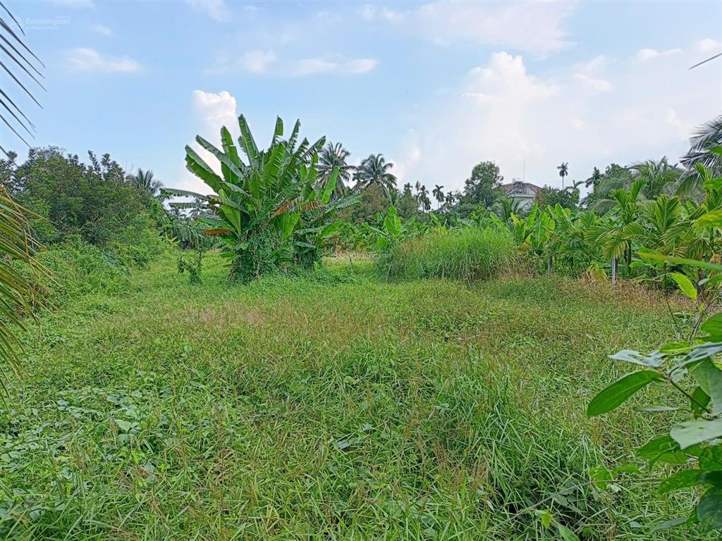 1140m2, 15x76m, mt đường 286 (tỉnh lộ 9 vào 100m), bình mỹ, củ chi, xây biệt thự, nhà vườn rất đẹp