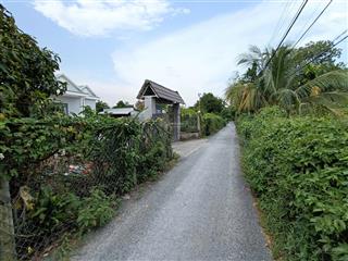 1140m2, 15x76m, mt đường 286 (tỉnh lộ 9 vào 100m), bình mỹ, củ chi, xây biệt thự, nhà vườn rất đẹp