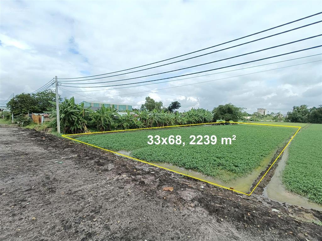 Bán đất mặt tiền đường vành đai 3, xã bình mỹ, củ chi, 1975m² vị trí hiếm, tiềm năng sinh lời cao