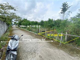 Bán đất mặt tiền đường bê tông 6m, xã tân thạnh tây, củ chi, gần tỉnh lộ 8, 135m² thổ cư 100%, 2 tỷ