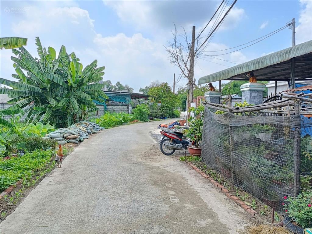 Bán đất thổ cư xã trung an củ chi, cách đường bùi thị lành 300m, diện tích lớn, giá đầu tư cực tốt