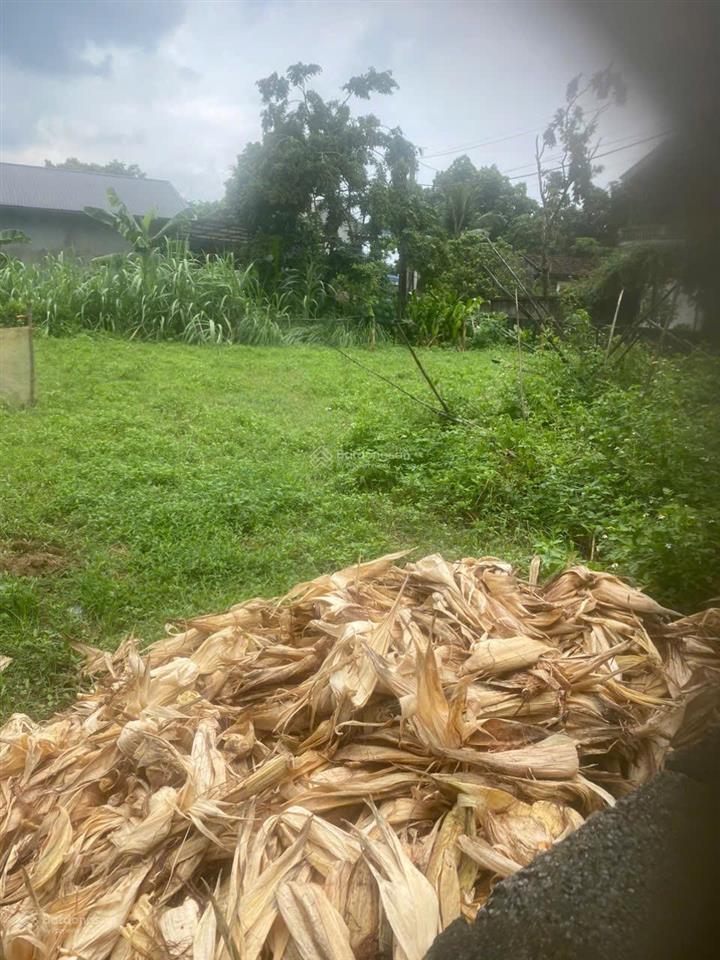 Bán gấp giá rẻ lô góc 3 mặt tiền diện tích 720 m tại nhuận trạch lương sơn hb