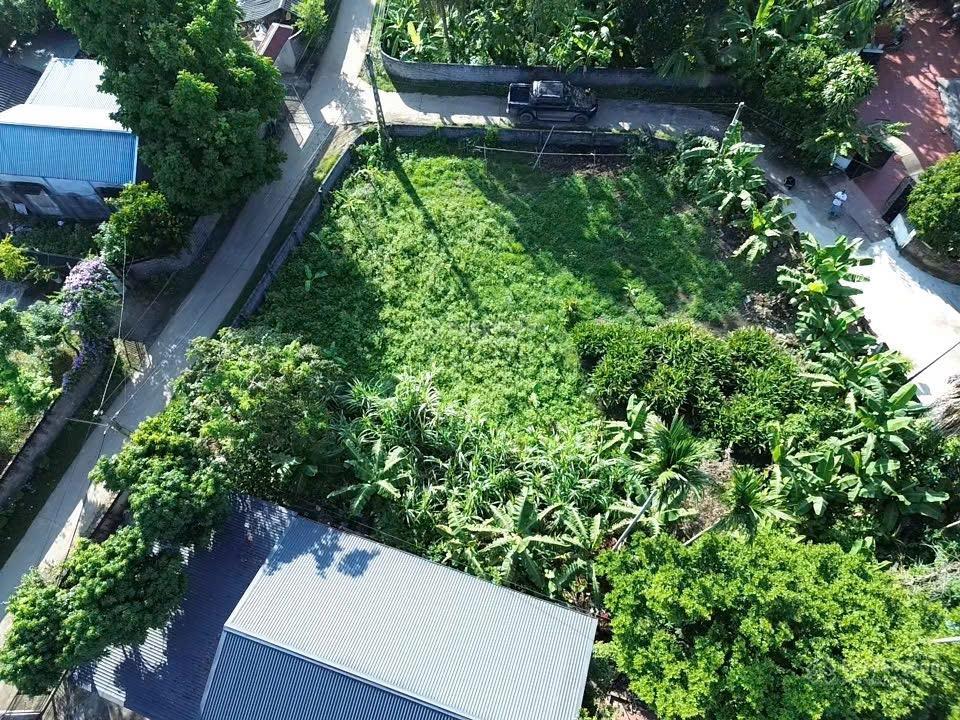 Bán gấp giá rẻ lô góc 3 mặt tiền diện tích 720 m tại nhuận trạch lương sơn hb