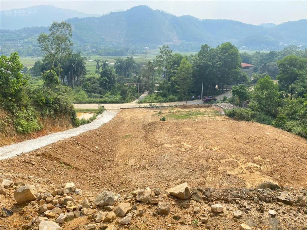 Chính chủ cần bán 5518,5m2 đất tại đồng chằm có 250m2 thổ, vị trí đẹp, view thoáng, giá đầu tư