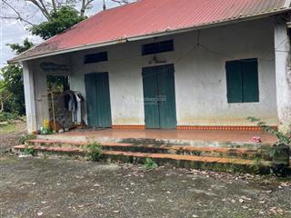 Chính chủ do k có nhu cầu sử dụng cần bán đi hơn 2000m2 đất đồng bèn, đông xuân, quốc oai