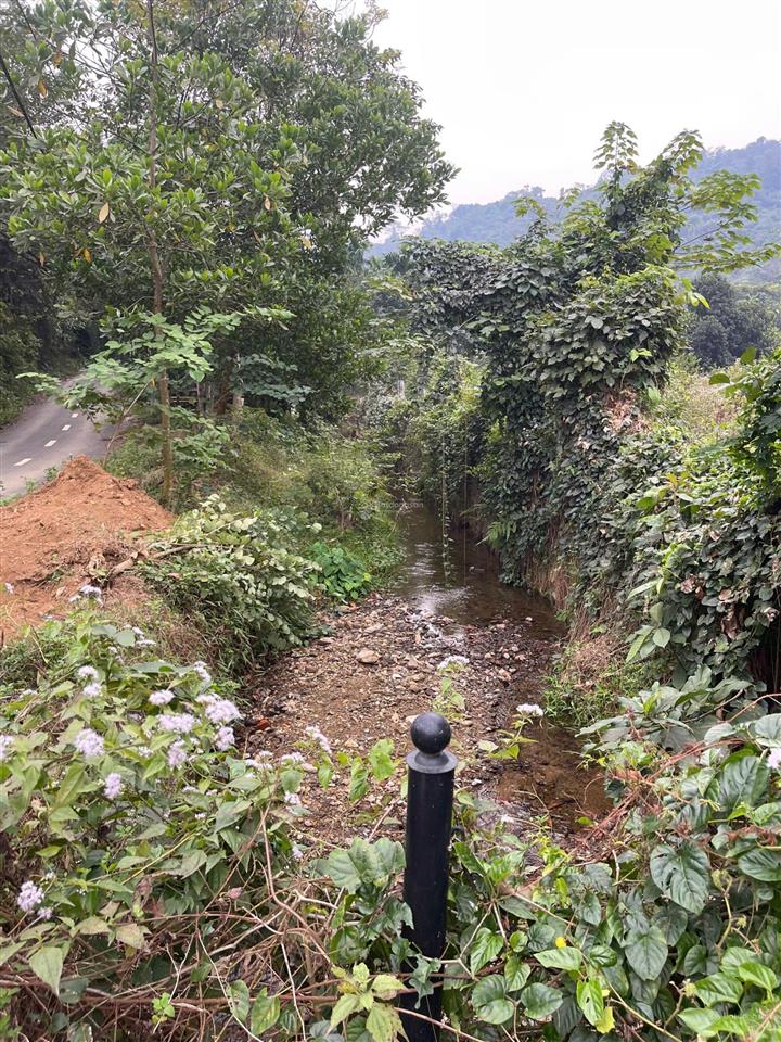 Chính chủ cần bán lô đất tại đông xuân giá thỏa thuận tổng diện tích 1ha, đã tách 3 sổ