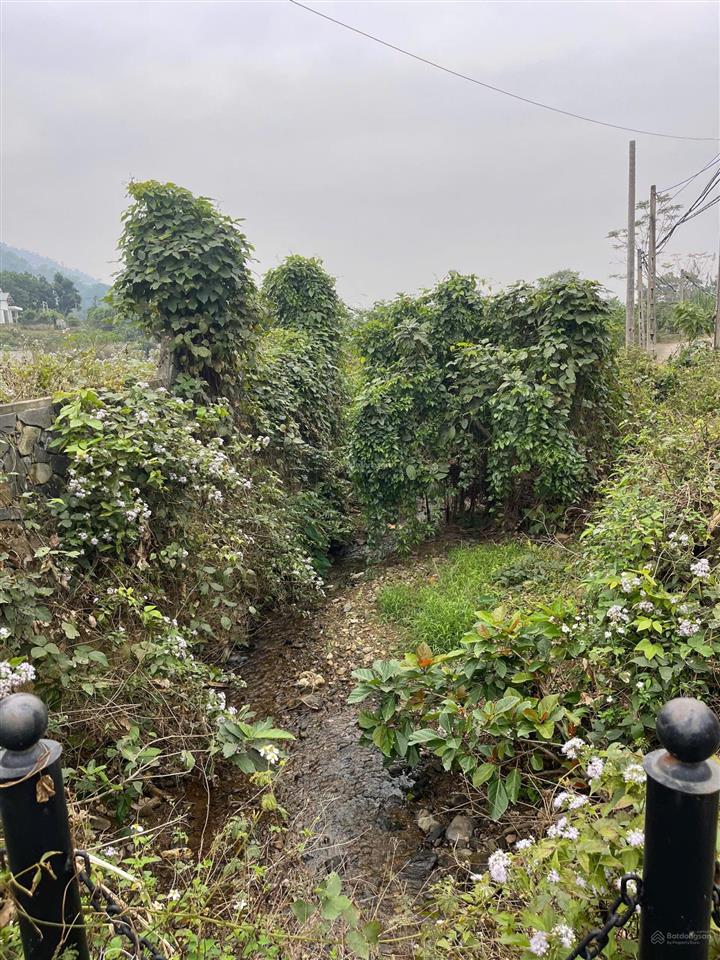 Chính chủ cần bán lô đất tại đông xuân giá thỏa thuận tổng diện tích 1ha, đã tách 3 sổ