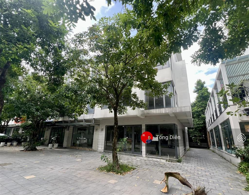 Tống diễn 0944 866 ***. bán nhà phố ecopark, căn góc