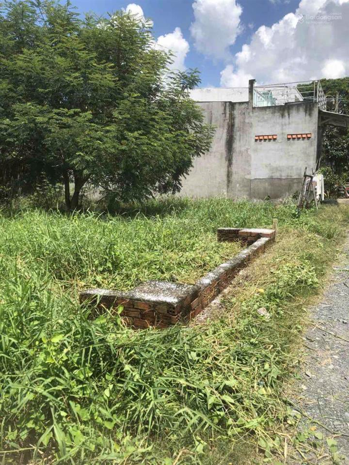 Bán đất sổ hồng riêng ngang 5m dài 20m liền kề hẻm oto đường vĩnh lộc, vĩnh lộc b, bình chánh