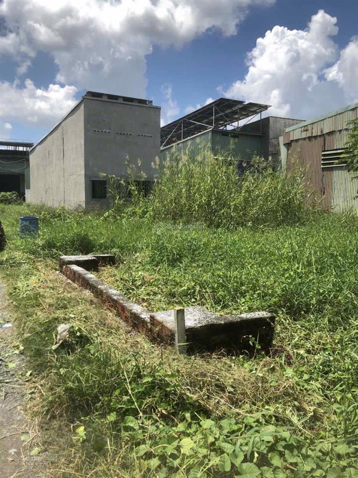 Bán đất sổ hồng riêng ngang 5m dài 20m liền kề hẻm oto đường vĩnh lộc, vĩnh lộc b, bình chánh